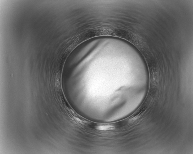 X0000057060177200510010117