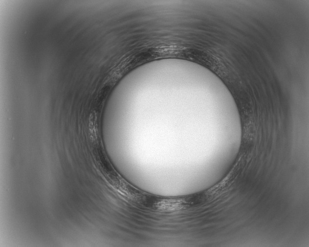 X0000057060179200510010117