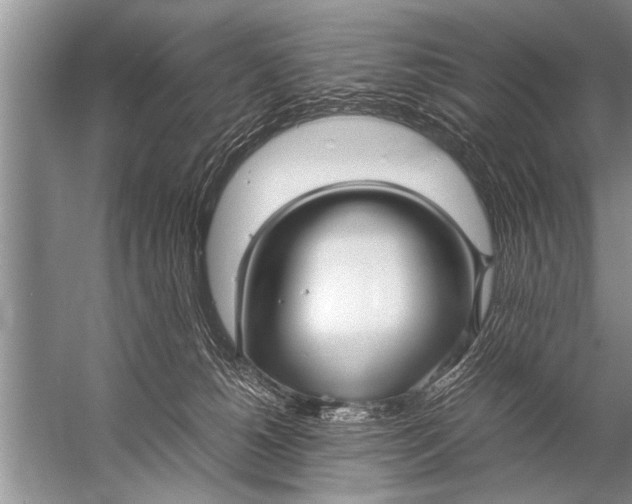 X0000057060180200510010117