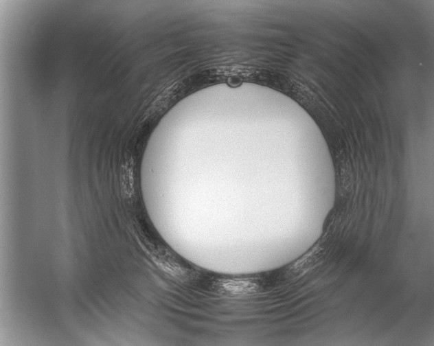 X0000057060183200510010117