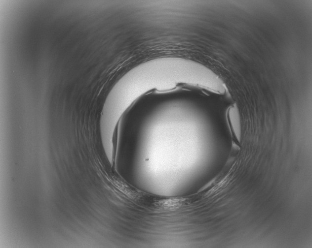 X0000057060184200510010117