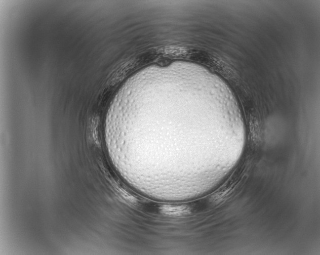 X0000057060185200510010117