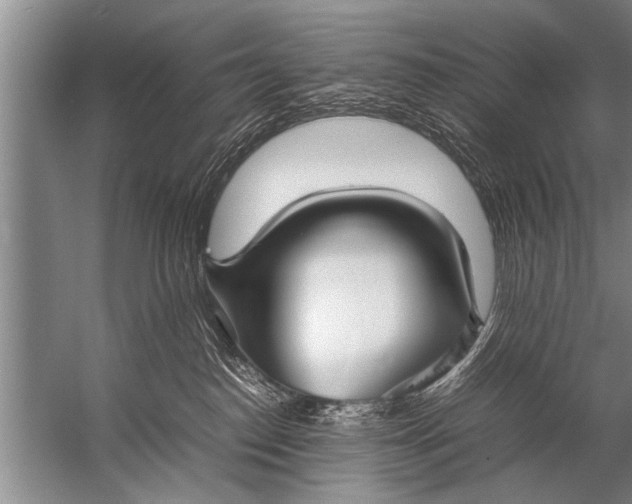 X0000057060186200510010117