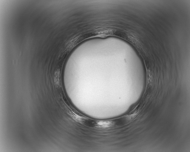 X0000057060189200510010117