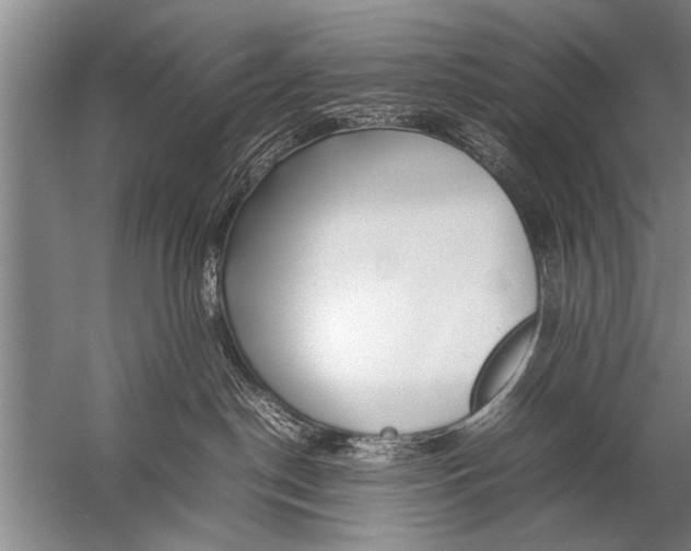 X0000057060190200510010117