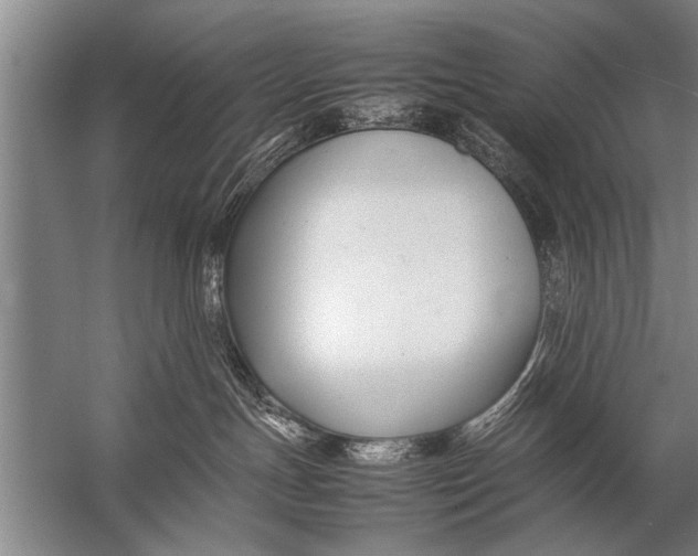 X0000057060191200510010117