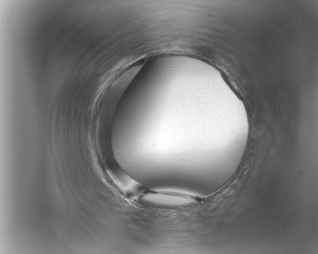 X0000057060193200510010116