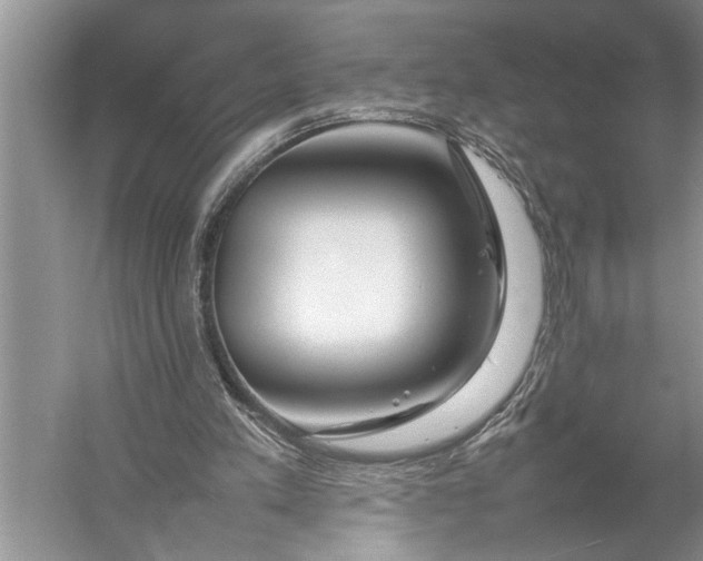 X0000057060197200510010116