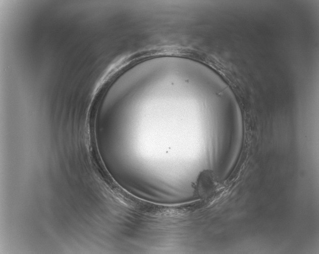 X0000057060198200510010116