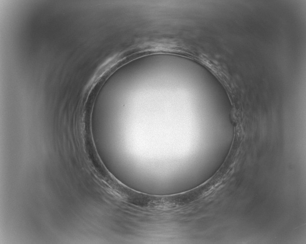 X0000057060199200510010116