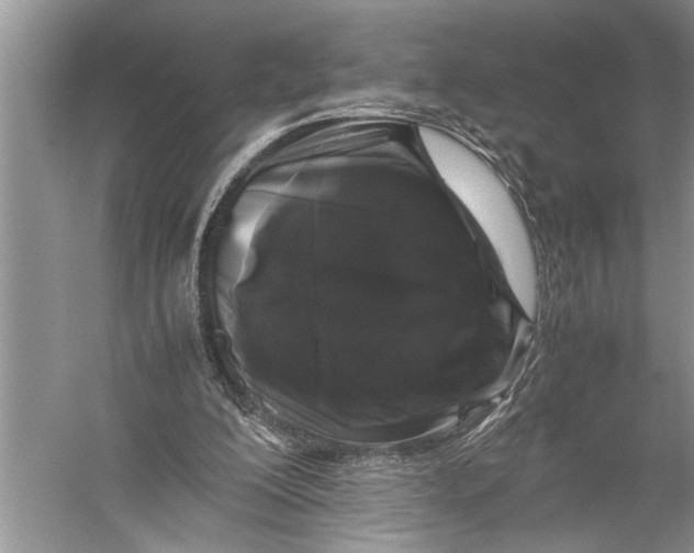 X0000057060200200510010116