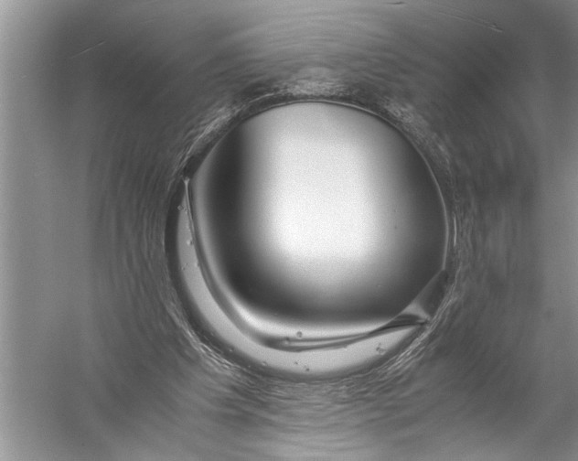 X0000057060201200510010116