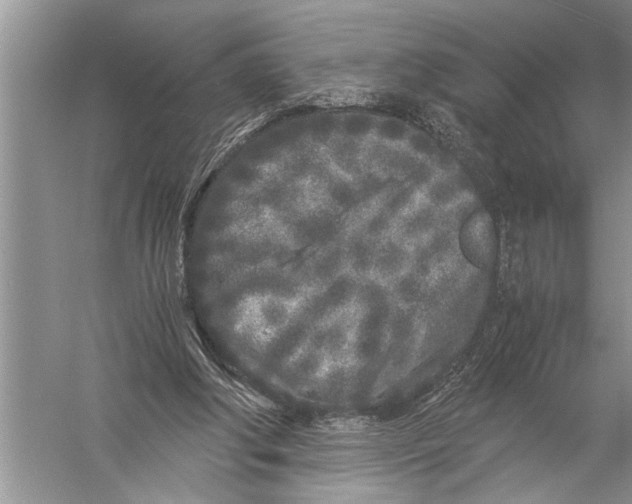 X0000057060202200510010116