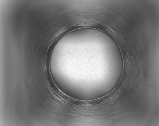 X0000057060203200510010116