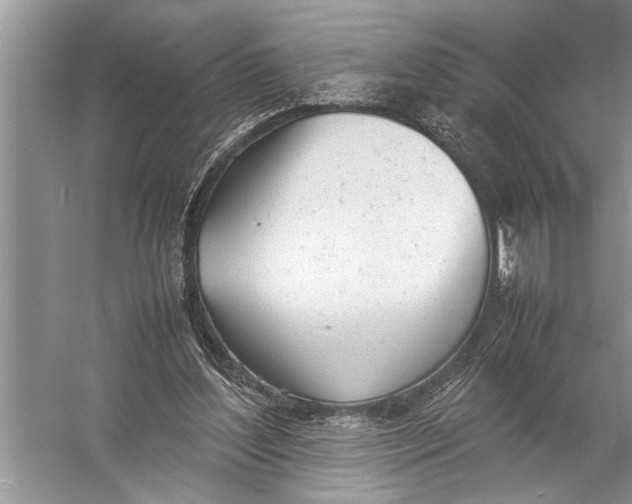 X0000057060204200510010116