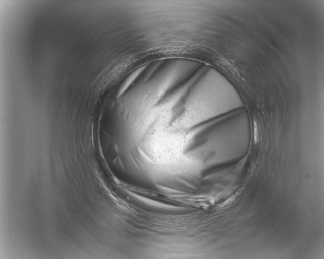 X0000057060205200510010116