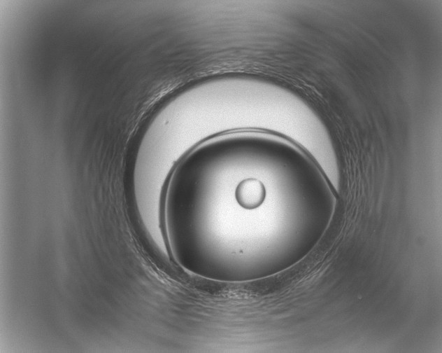 X0000057060207200510010116