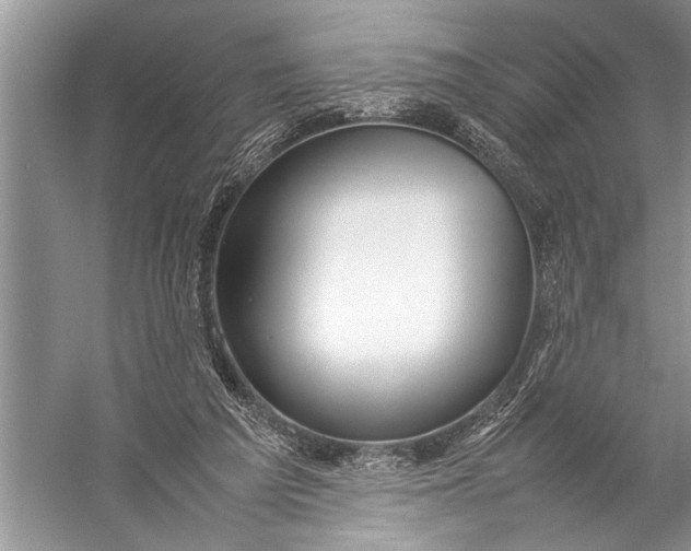 X0000057060209200510010116