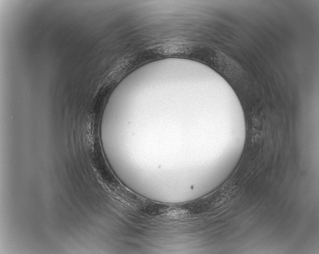 X0000057060210200510010116