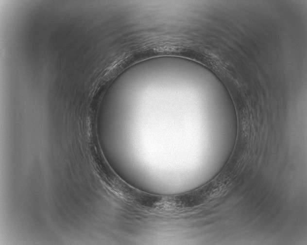 X0000057060211200510010116