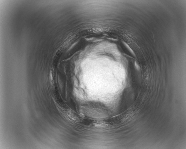 X0000057060214200510010116