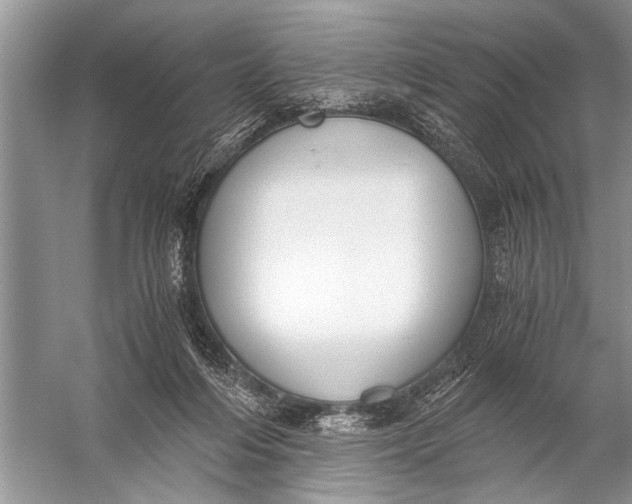 X0000057060216200510010116