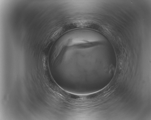 X0000057060219200510010116