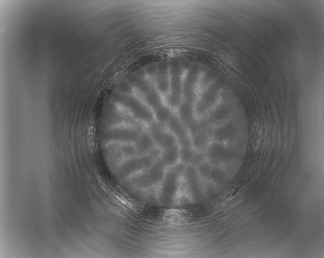 X0000057060222200510010116