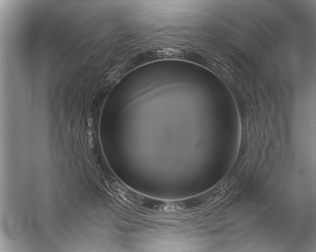 X0000057060223200510010116