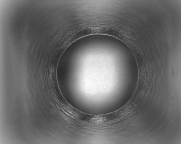 X0000057060225200510010116