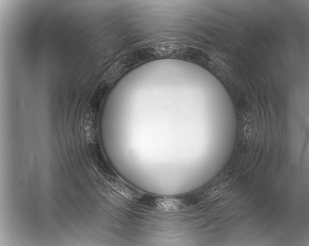 X0000057060226200510010116