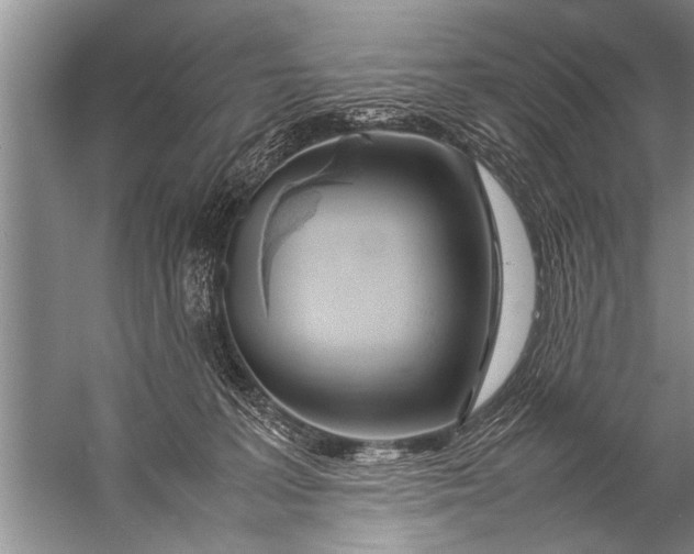 X0000057060227200510010116