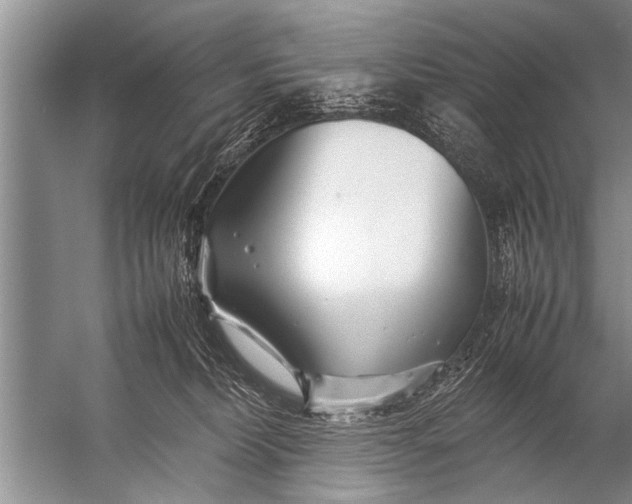 X0000057060228200510010116