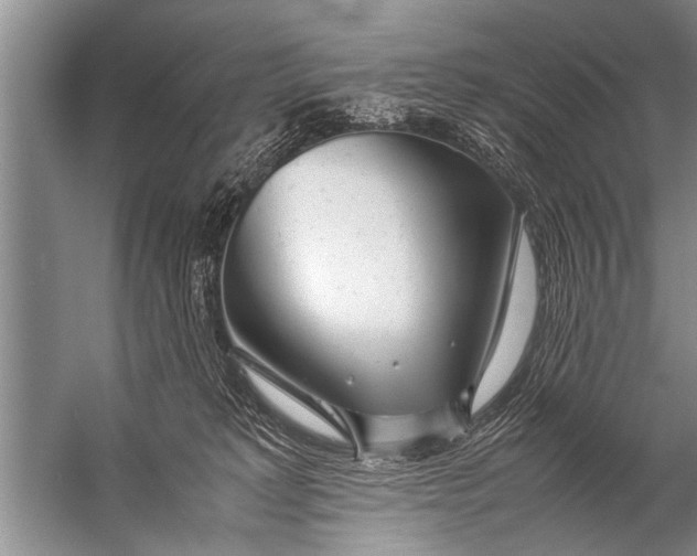 X0000057060229200510010116