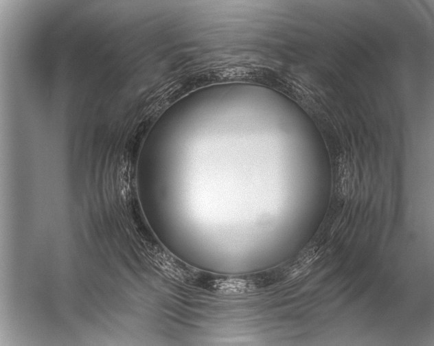 X0000057060230200510010115