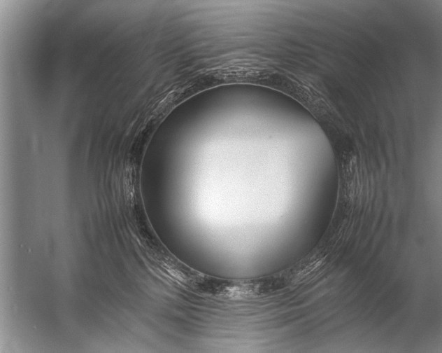 X0000057060232200510010115