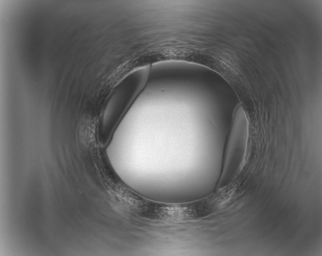 X0000057060233200510010115