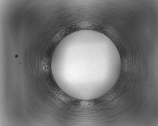 X0000057060234200510010115