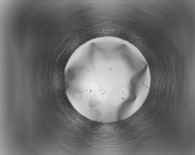 X0000057060236200510010115