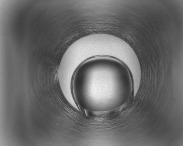 X0000057060237200510010115