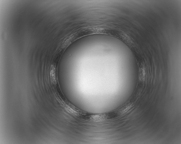 X0000057060238200510010115