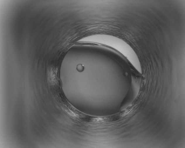 X0000057060239200510010115