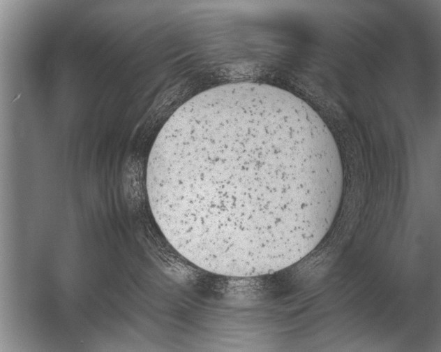 X0000057060240200510010115