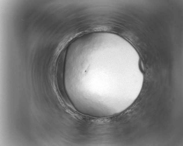 X0000057060241200510010114