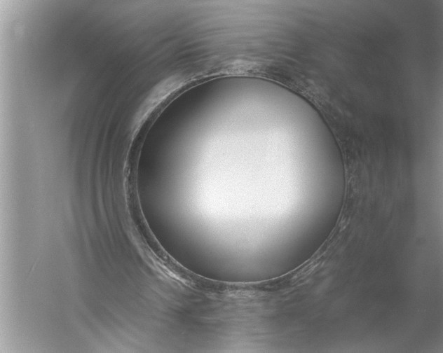 X0000057060242200510010115