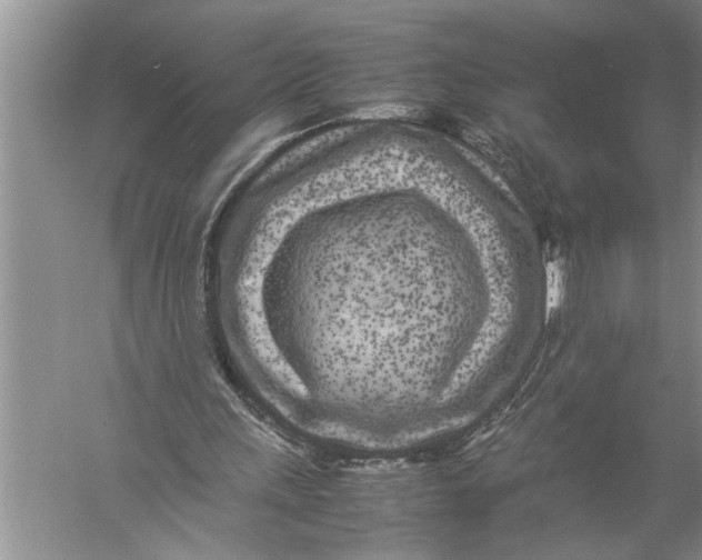 X0000057060243200510010115