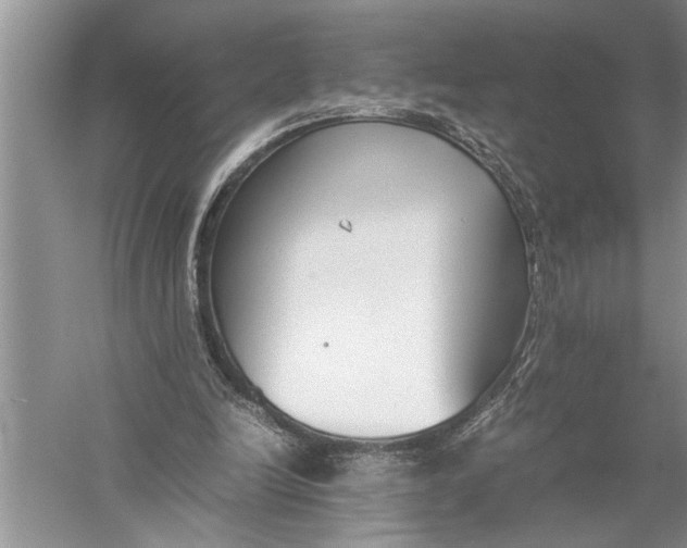 X0000057060246200510010115