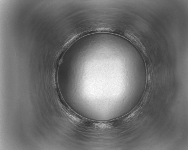 X0000057060249200510010115