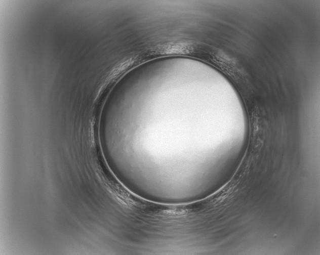 X0000057060250200510010115