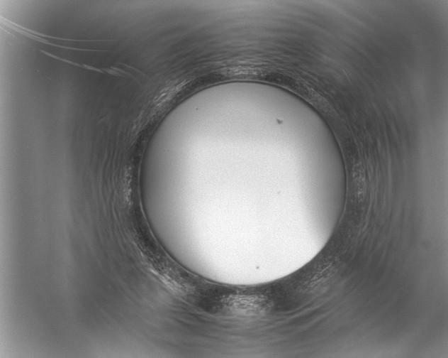 X0000057060255200510010115